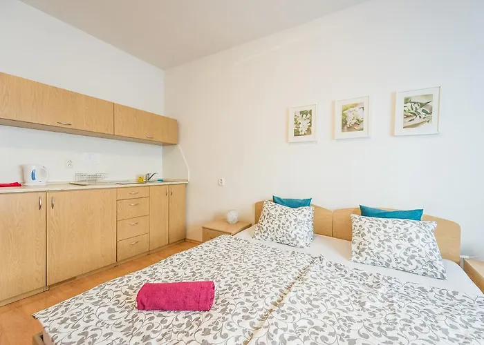 アパート Presidential Palace