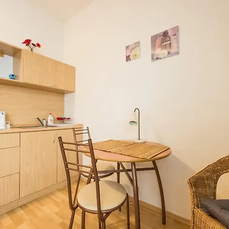 Presidential Palace Apartman *